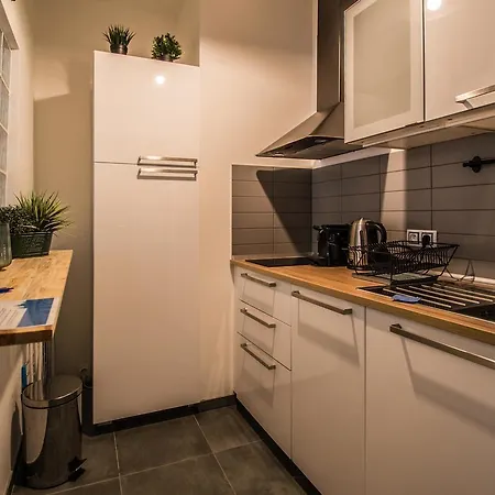 Executive Bright Apt. By Ruterra * Praha